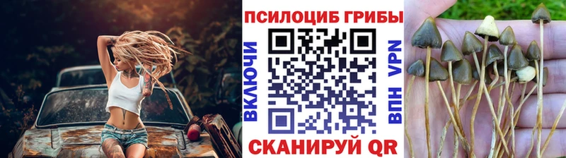 Галлюциногенные грибы GOLDEN TEACHER  Покровск 